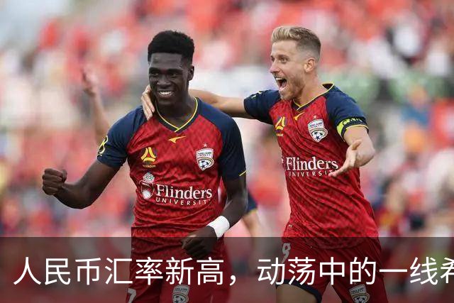 人民币汇率新高，动荡中的一线希望与哭笑不得的故事