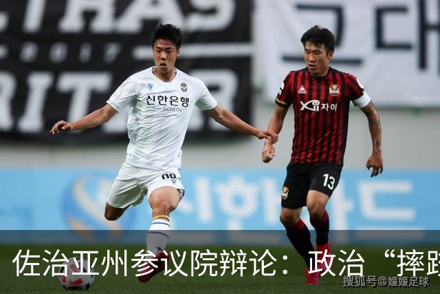 佐治亚州参议院辩论：政治“摔跤”赛的激烈斗争