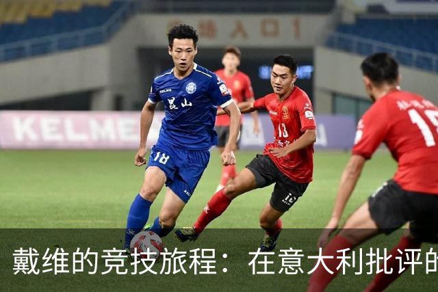 戴维的竞技旅程：在意大利批评的漩涡中舞蹈